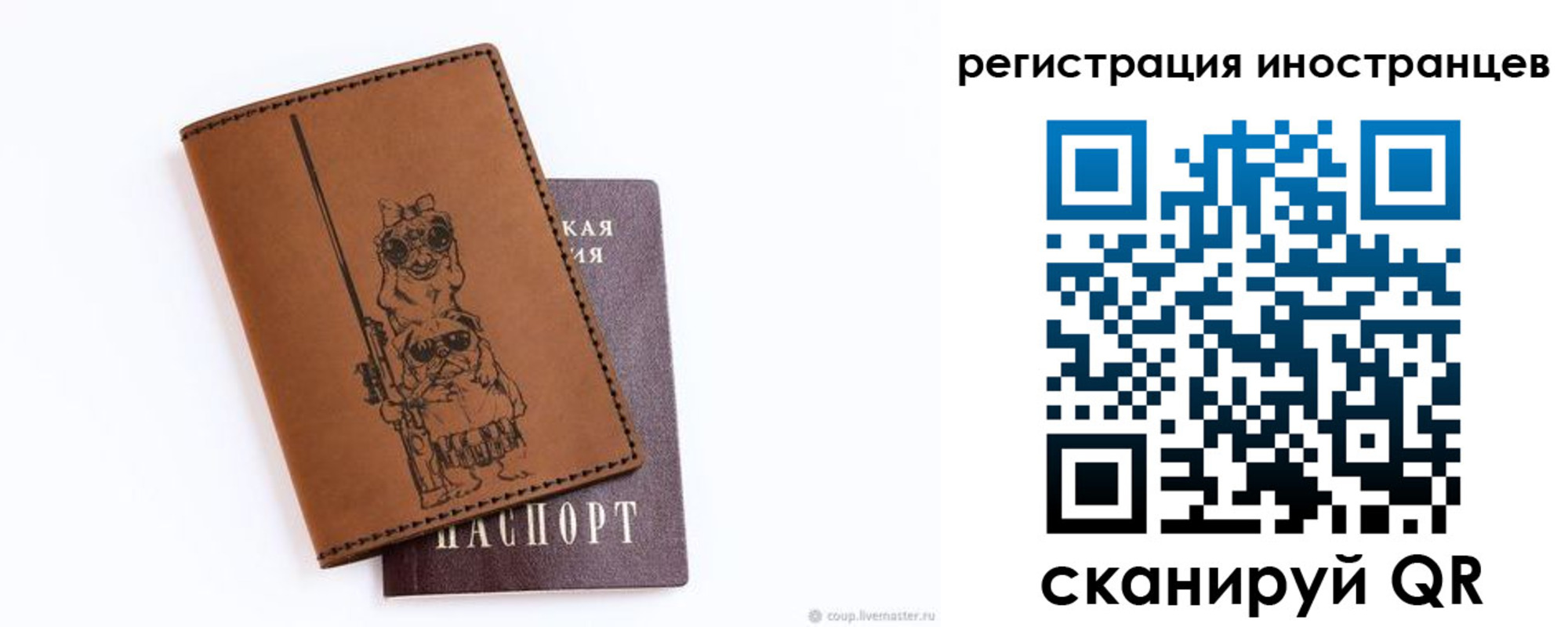 прописка гарантия в Борзе